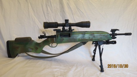 Carabina Lr 22 de GSG (German Spors Guns),  vendo Por 550 euros, o cambio . Fabricada en Alemania e inspirada 12