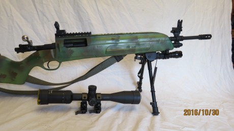 Carabina Lr 22 de GSG (German Spors Guns),  vendo Por 550 euros, o cambio . Fabricada en Alemania e inspirada 10