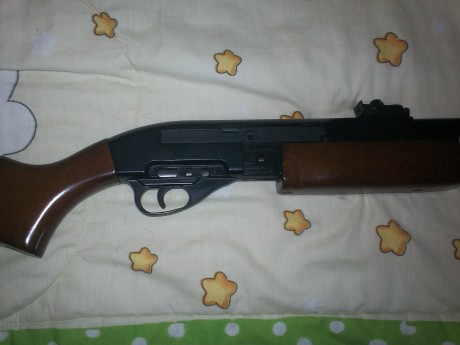 vendo carabina gamo g1200 impoluta,en su caja original no tengo el manual,funciona perfectamente sin fugas
se 02