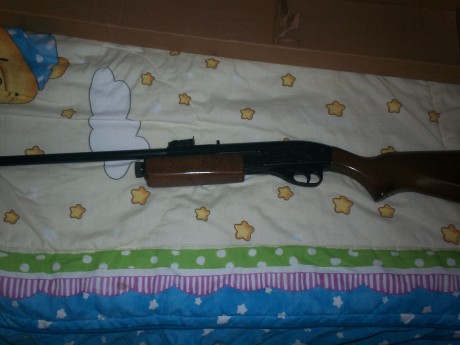 vendo carabina gamo g1200 impoluta,en su caja original no tengo el manual,funciona perfectamente sin fugas
se 01
