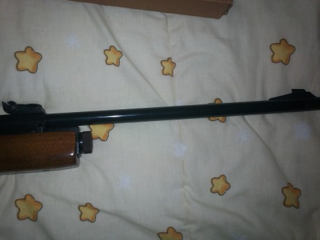 vendo carabina gamo g1200 impoluta,en su caja original no tengo el manual,funciona perfectamente sin fugas
se 00
