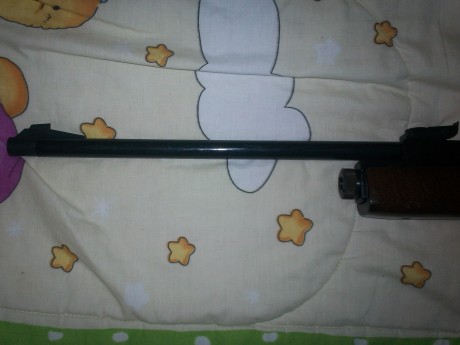 vendo carabina gamo g1200 impoluta,en su caja original no tengo el manual,funciona perfectamente sin fugas
se 21