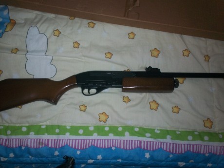 vendo carabina gamo g1200 impoluta,en su caja original no tengo el manual,funciona perfectamente sin fugas
se 20