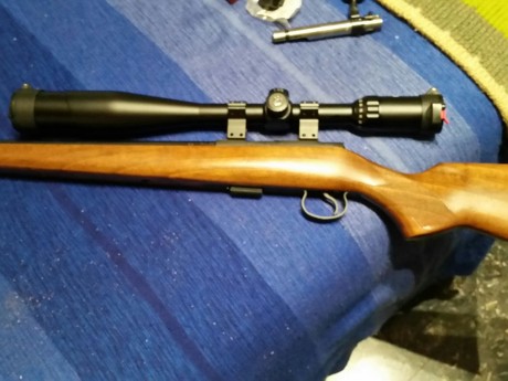 pues eso por cambio de proyecto me tengo que desprender de mi fabulosa y magnifica breno-cz 452 VARMINT 11