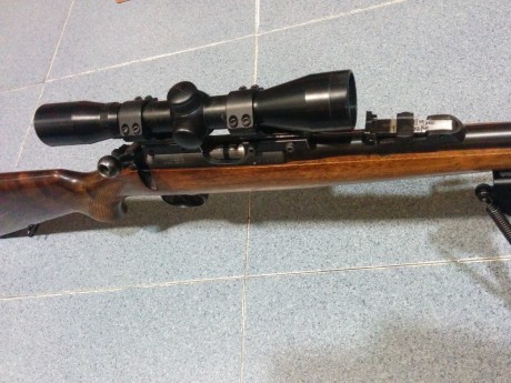 Vendo carabina CZ Brno mod. 2 Cal 22Lr
Con Visor, bípode y  funda para transporte y correa.
Vendo todo 00