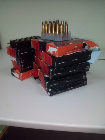 Vendo 300 vainas de lapua con un solo disparo calibre 308 winchester en perfecto estado con sus  cajas.. 01