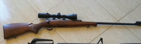 Vendo mi carabina cz 452 zkm . Con un cargador de 5 balas y funda nylon .y visor leapers .3-9x40.pocos 00