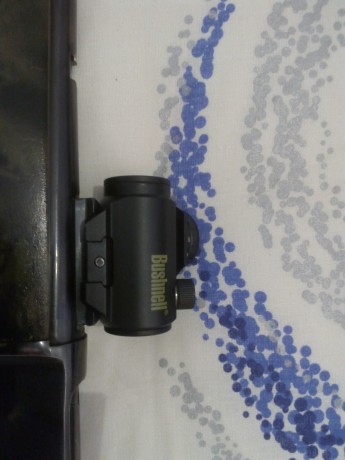 Se vende Rifle palanca Rossi 44 Magnum con punto rojo Bushnell trophy red dot trs-25 en buen estado  , 02