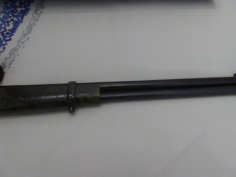 Se vende Rifle palanca Rossi 44 Magnum con punto rojo Bushnell trophy red dot trs-25 en buen estado  , 00