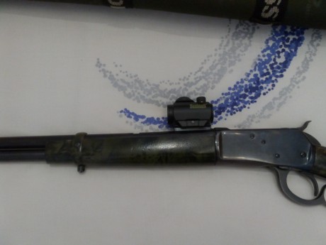 Se vende Rifle palanca Rossi 44 Magnum con punto rojo Bushnell trophy red dot trs-25 en buen estado  , 12