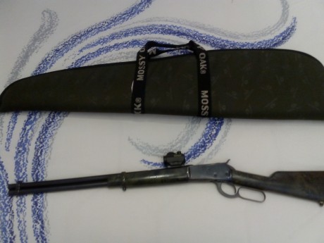 Se vende Rifle palanca Rossi 44 Magnum con punto rojo Bushnell trophy red dot trs-25 en buen estado  , 10