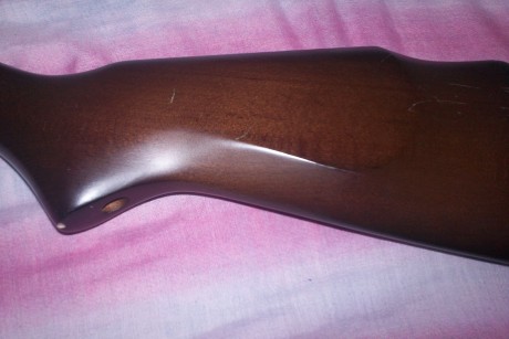 vendo carabina gamo G1200 Magnun en perfecto estado.tiene un par de arañazos y un pequeño golpecito en 00