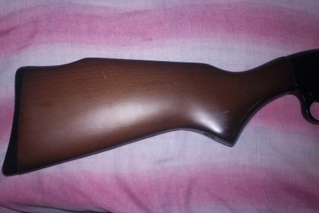 vendo carabina gamo G1200 Magnun en perfecto estado.tiene un par de arañazos y un pequeño golpecito en 12