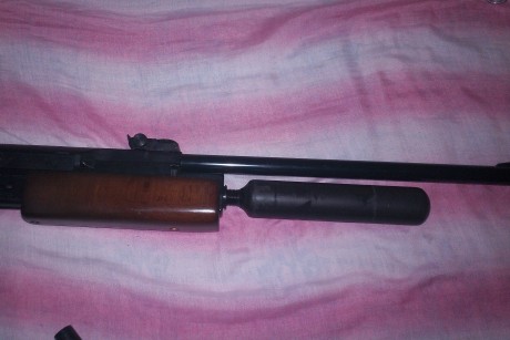 vendo carabina gamo G1200 Magnun en perfecto estado.tiene un par de arañazos y un pequeño golpecito en 20