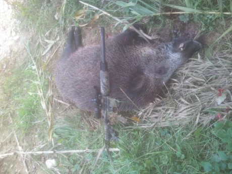  VENDIDO 

Extraordinaria plataforma AR15 tanto para caza como para tiro. Arma procedente de mis habituales 50