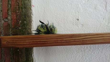 Hola compañeros! 
Pongo en venta éste arco qué no uso,no por nada en concreto simplemente me gusta más 02