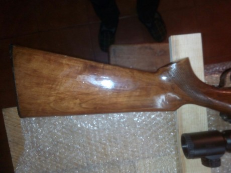 vendo carabina onena 500 cal 22lr con visor con reticula iluminada 3-9x40. . 2 cargadores y 2 cajas de 02