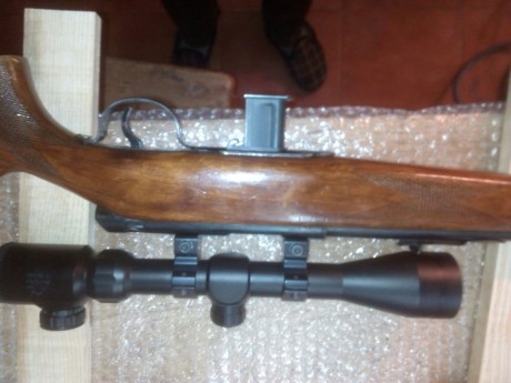 vendo carabina onena 500 cal 22lr con visor con reticula iluminada 3-9x40. . 2 cargadores y 2 cajas de 01
