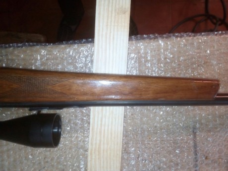 vendo carabina onena 500 cal 22lr con visor con reticula iluminada 3-9x40. . 2 cargadores y 2 cajas de 00