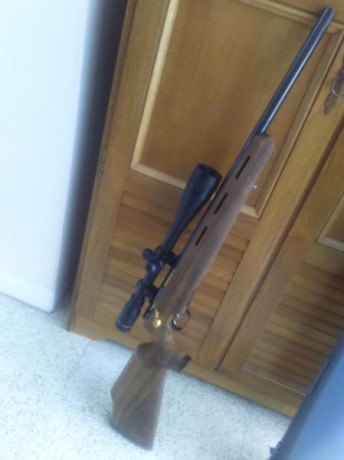 Saludos

Visto el poco uso que le doy, pongo a la venta éste excelente rifle de precisión HW 66 JAGD-MATCH 02