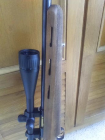 Saludos

Visto el poco uso que le doy, pongo a la venta éste excelente rifle de precisión HW 66 JAGD-MATCH 00