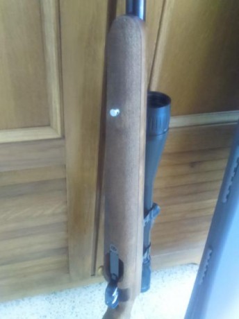 Saludos

Visto el poco uso que le doy, pongo a la venta éste excelente rifle de precisión HW 66 JAGD-MATCH 10