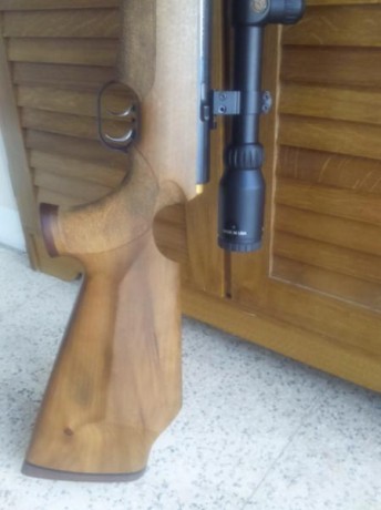 Saludos

Visto el poco uso que le doy, pongo a la venta éste excelente rifle de precisión HW 66 JAGD-MATCH 21