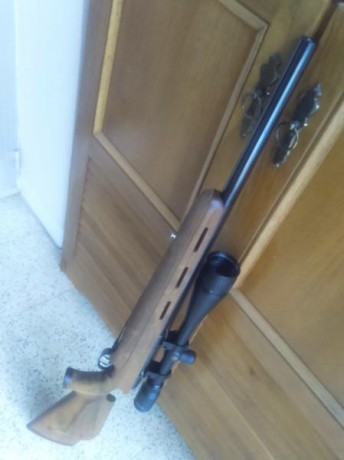 Saludos

Visto el poco uso que le doy, pongo a la venta éste excelente rifle de precisión HW 66 JAGD-MATCH 20
