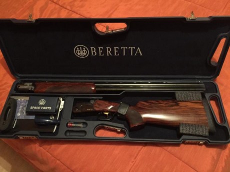 Vendo escopeta Beretta DT10 Tridend por no usar, la escopeta esta nueva y lleva pocos tiros (aprox. 2000)
si 00