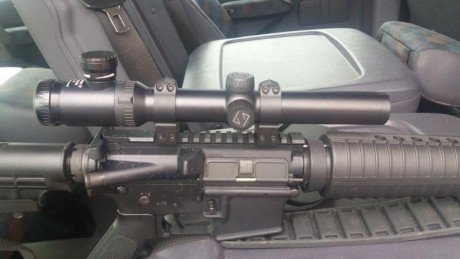 Hola a todos, un compañero vende este fusil. Es un Sabre tipo AR M4 del 222 rem. El armas está nueva, 01
