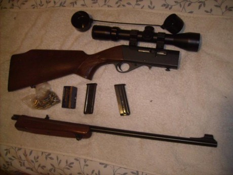 Se vende carabina con dos cargadores munición y Visor Buschnel Trophy 1.5 - 6 por 250 Euros
La carabina 01