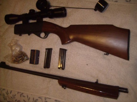 Se vende carabina con dos cargadores munición y Visor Buschnel Trophy 1.5 - 6 por 250 Euros
La carabina 00