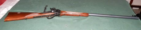 Hola, vendo rifle sharp de la casa I.A.B. Calibre 45/70. Cañón de 71 Cm.Con 2 gatillos (pelo) Está en 01