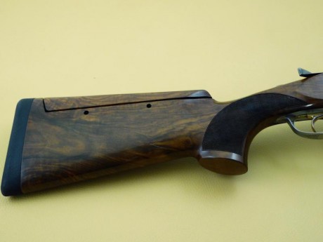 Magnífica Escopeta Superpuesta Marca Beretta,  Modelo Trident DT 10  versión L (Lujo).  Cañones de 76 00