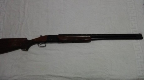 Hola.

Vendo escopeta de plato Franchi Astore Trap, en 500€, procedente de un compañero que dejo el tiro, 00