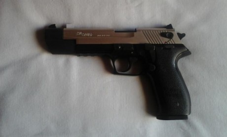 Compro pistola de 9 mm para modalidad de precisión,(Sig, STI, SW, o algo similar) el pago sería en efectivo 20