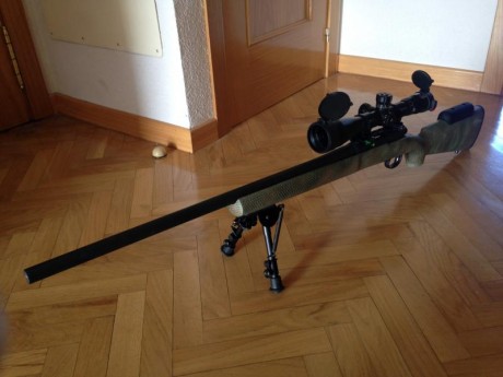 Vendo culata de Remington 700 Police.
Culata HS Precision, con el bedding de aluminio, muy ligera.
Esta 12