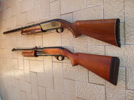 Hola, recientemente he adquirido la Remington 1100 que estaba a la venta en la Armería Navas, para mí 160