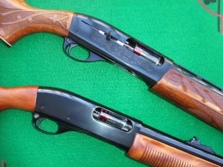 Hola, recientemente he adquirido la Remington 1100 que estaba a la venta en la Armería Navas, para mí 61