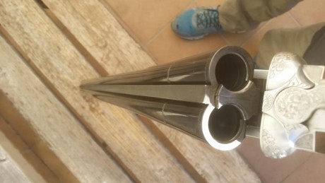 Magnifica escopeta pichonera, codorniz o caza. Escopeta preparada para tirar 36 gramos sin problema. No 11