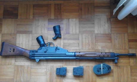 Vendo Cetme C, calibre 307 Win., va con dos cargadores uno de tres y otro de cinco, correa de tres puntos, 91