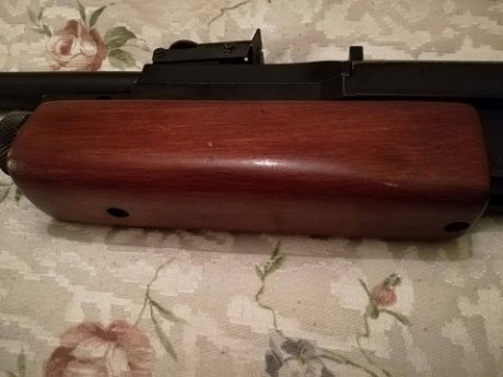 Se vende Gamo G1200 pcpeada ,con opcion a dejarla de serie. 
Esta completa con todas las piezas originales, 61