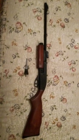 Se vende Gamo G1200 pcpeada ,con opcion a dejarla de serie. 
Esta completa con todas las piezas originales, 60
