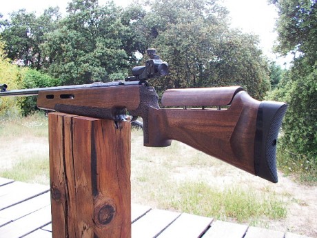 Qué carabina me aconsejais para BR 50? Y para Mini F-Class?

Me gusta la CZ de cañon pesado y la Remington 72