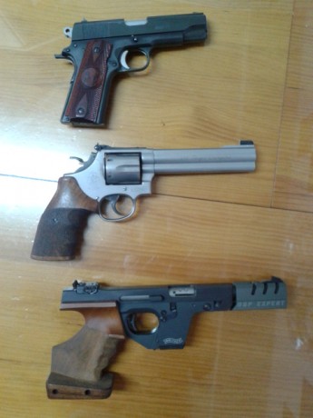 Reduzco mi plantilla... WALTHER GSP EXPERT Cal.22, S&W Target Champion 357 y Norico 45 cuatro pulgadas. 02