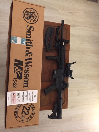 Hola vendo esta carabina s&w mp15/22 con los accesorios que se ven en las fotos.
Mira punto rojo, 02