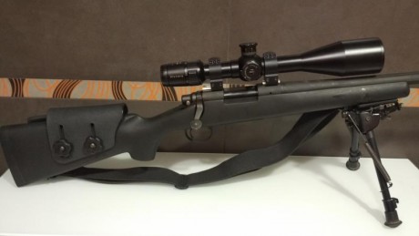 He comprado una GRS a un compañero del foro así que la original no la necesito.
Le puse unas anillas en 02