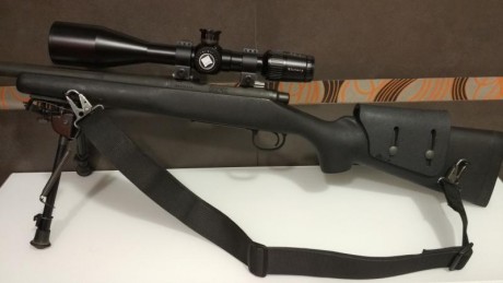 He comprado una GRS a un compañero del foro así que la original no la necesito.
Le puse unas anillas en 01