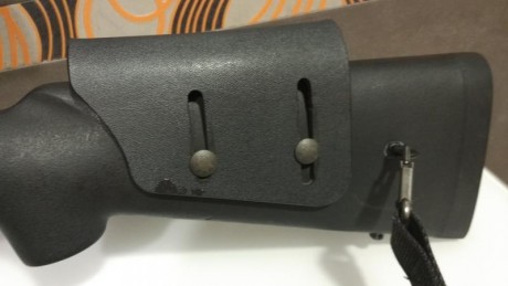 He comprado una GRS a un compañero del foro así que la original no la necesito.
Le puse unas anillas en 00