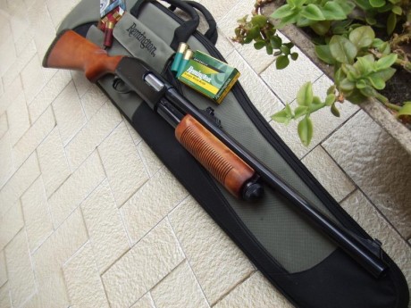 Hola, recientemente he adquirido la Remington 1100 que estaba a la venta en la Armería Navas, para mí 31